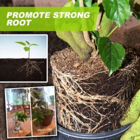 Hydroponic Liquid Fertilizer - image 6