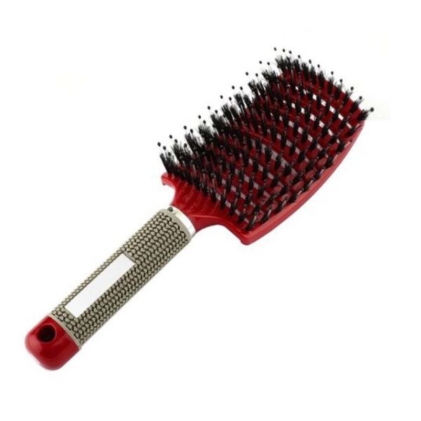 Pagmasahe sa Abaga sa Buhok Brush Brush Bristle Naylon Babaye Basa nga Curly Detangle Brush sa Buhok para sa Salon Hairdressing 3.jpg 640x640 3