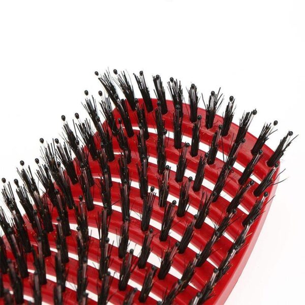 ผมนวดหนังศีรษะหวี Hairbrush Bristle ไนลอนผู้หญิง Wet Curly Detangle แปรงผมสำหรับ Salon Hairdressing 5