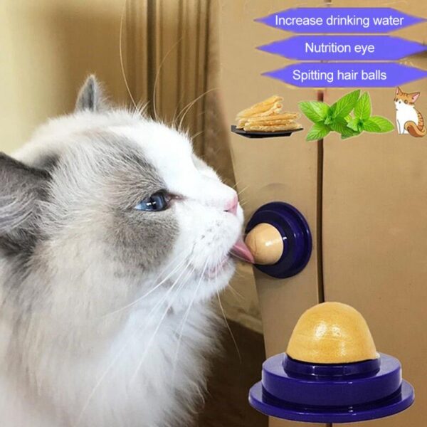 Zdrowe przekąski dla kota kocimiętka cukier cukierki lizanie stały żel odżywczy energetyczna zabawka do gry w piłkę dla kota zwiększenie 5