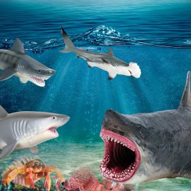 Lifelike Baby Shark - image 3
