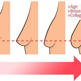 Breast Plumping Essential Oil - image 4