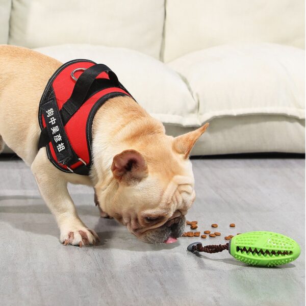 Cane interattivoGiocattolo da masticarePalla di gomma naturale Dispenser di cibo per cuccioli Palla resistente ai morsi Denti puliti Pet che gioca a palle 4