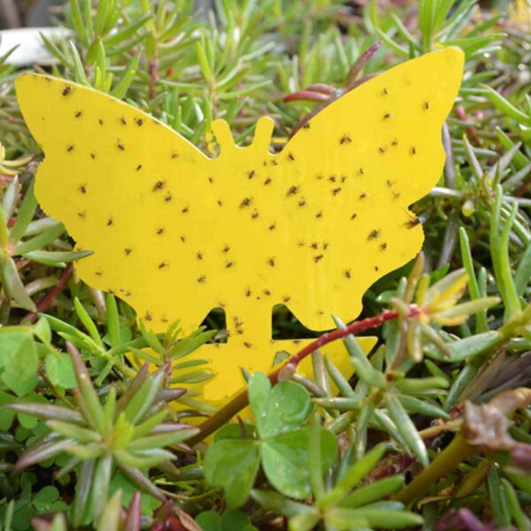 Yellow Butterfly Shape Double sided Sticky Board Plant Flowers and Vegetables Mosquito Flies Trap Board Insect 1