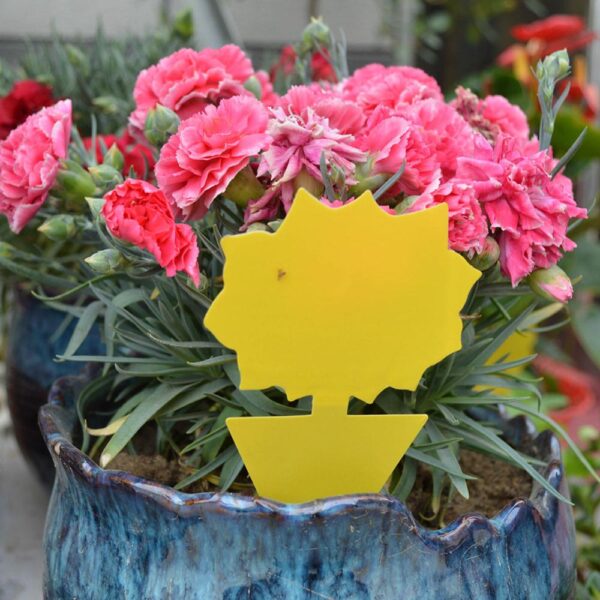 Yellow Butterfly Shape Double sided Sticky Board Plant Flowers and Vegetables Mosquito Flies Trap Board Insect 2