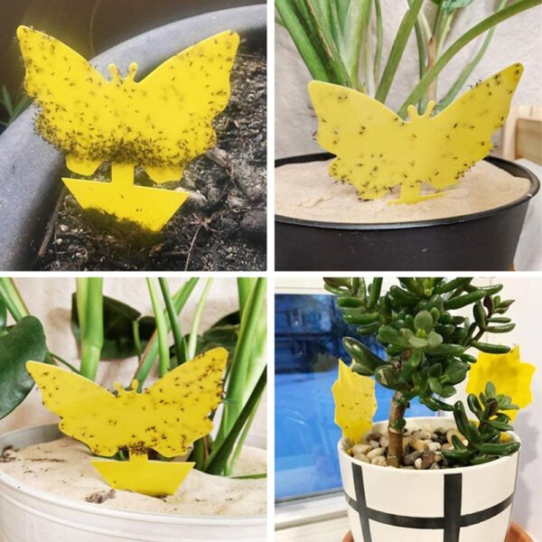 Yellow Butterfly Shape Double sided Sticky Board Plant Flowers and Vegetables Mosquito Flies Trap Board Insect 4