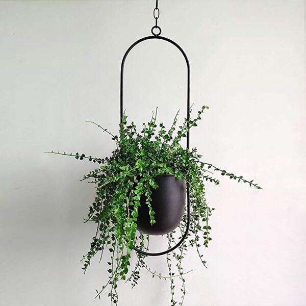 Pot suspendu en métal, chaîne de suspension pour plantes, panier de jardinière mural, support de Pot de fleur, maison jardin 4