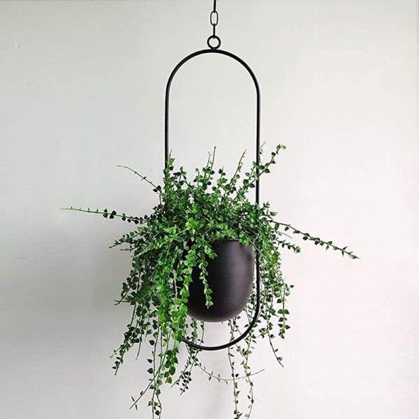 Metalen Opknoping Pot Plant Hanger Keten Muur Opknoping Planter Mand Bloempot Plant Houder Huis Tuin