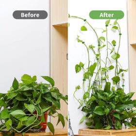 Plant Climbing Wall Fixture Clips Leaves - image 6