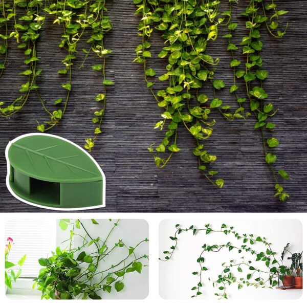 Garden Plant Clip Self adhesive Household Vine Holder Greenhouse Bracket Pole Fixed Clamp Plants Seeding Grafting 4