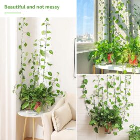 Plant Climbing Wall Fixture Clips Leaves - image 9