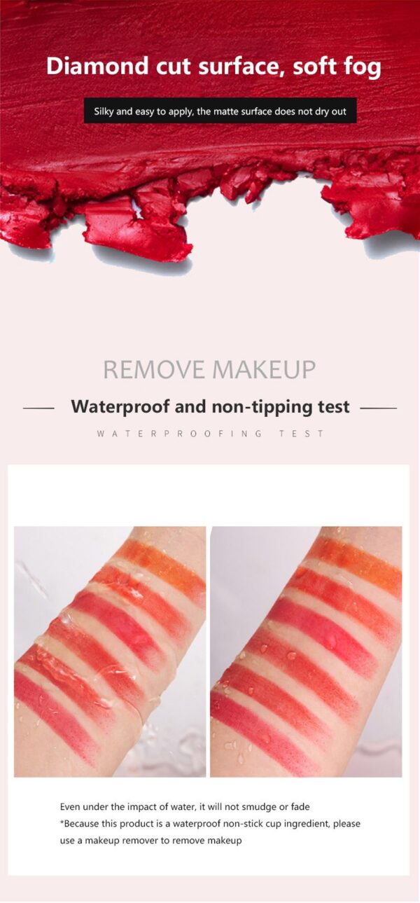 Six color Lipstick Double headed Non stick Cup Waterproof Lasting Matte Rotten Tomato Color Lip Stick 1