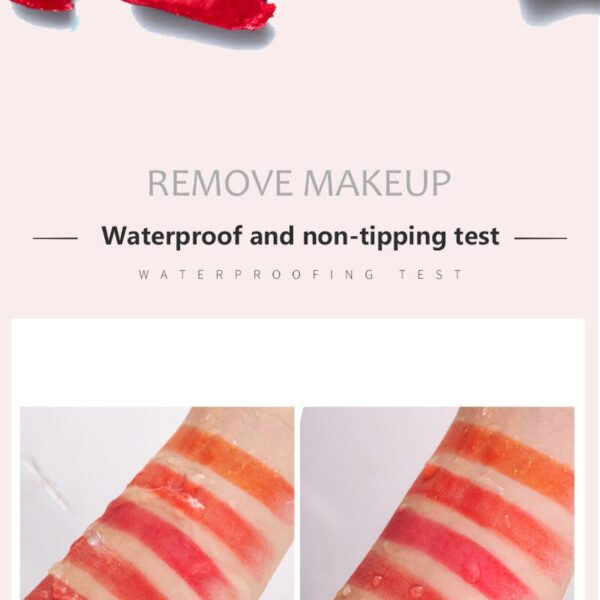 Six color Lipstick Double headed Non stick Cup Waterproof Lasting Matte Rotten Tomato Color Lip Stick 1