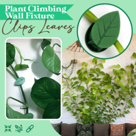 Plant Climbing Wall Fixture Clips Leaves - image 1