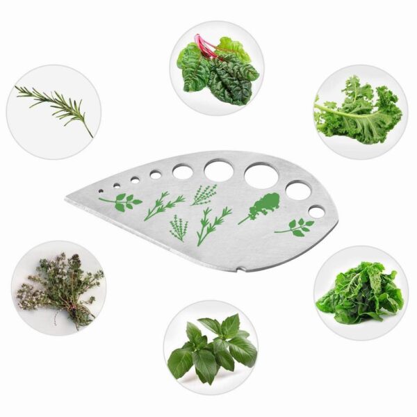 1 pz Verdura Rosmarino Timo Cavolo Foglia Stripper Acciaio inossidabile Herb Stripper Looseleaf Rosmarino Gadget da cucina 4