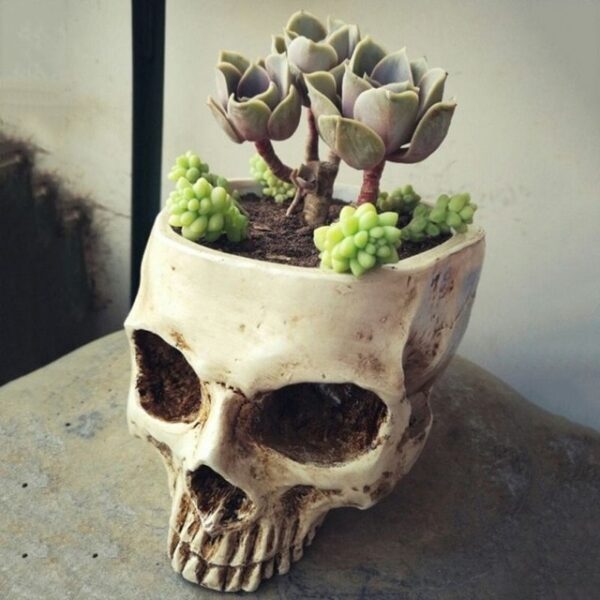 3 Cure Resin Gothic Skull Head Design Flower Pot skull model Planter Container Home Bar Garden 1.jpg 640x640 1