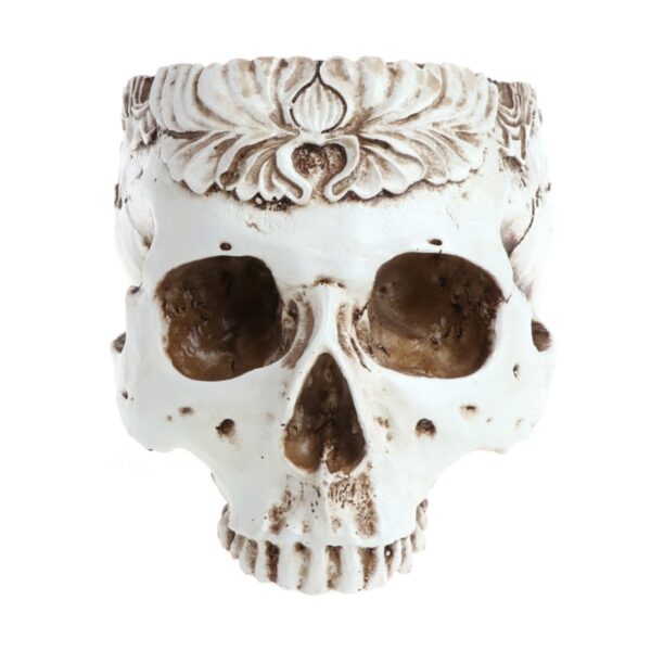 3 Types Resin Gothic Skull Head Design Flower Pot skull model Planter Container Home Bar Garden 2