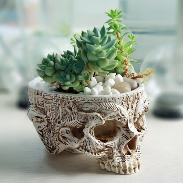 3 Cure Resin Gothic Skull Head Design Flower Pot skull model Planter Container Home Bar Garden 2.jpg 640x640 2