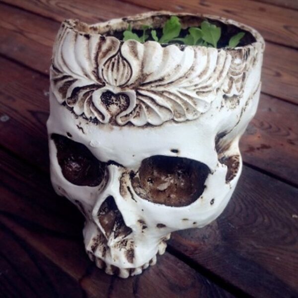 Izinhlobo ezi-3 ze-Resin Gothic Skull Head Design I-flower Pot skull model Planter Ibha Yasekhaya Yesitsha