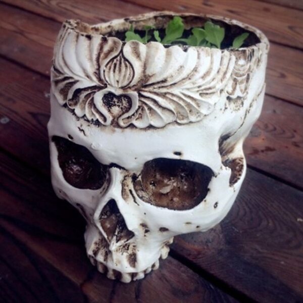 Mitundu ya 3 Resin Gothic Skull Head Design Flower Pot chigaza model Planter Container Home Bar