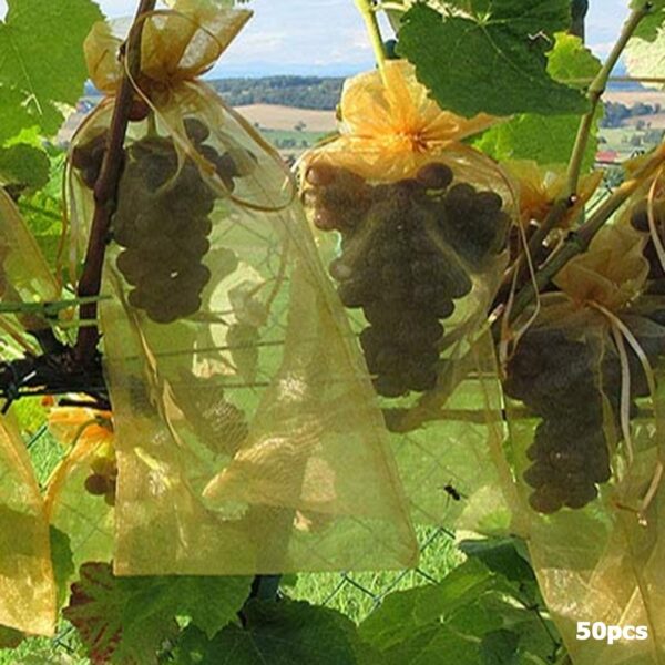50Pcs set Garden Netting Bags Vegetable Grapes Apples Fruit Protection Bag Agricultural Pest Control Anti Bird 2