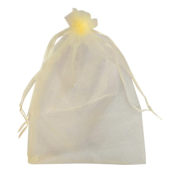 50Pcs set Garden Netting Bags Vegetable Grapes Apples Fruit Protection Bag Agricultural Pest Control Anti Bird 3.jpg 640x640 3
