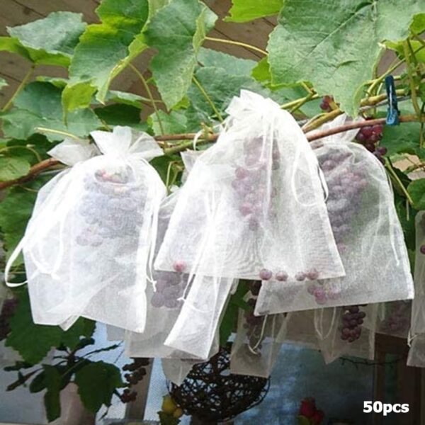 50Pcs set Garden Netting Bags Vegetable Grapes Apples Fruit Protection Bag Agricultural Pest Control Anti Bird 4