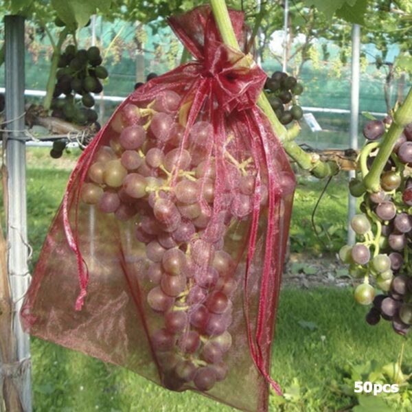 50Pcs set Garden Netting Bags Vegetable Grapes Apples Fruit Protection Bag Agricultural Pest Control Anti Bird 5
