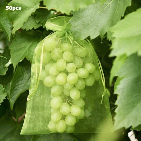 50Pcs set Garden Netting Bags Vegetable Grapes Apples Fruit Protection Bag Agricultural Pest Control Anti Bird