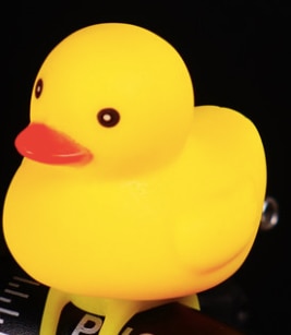 Ducky light 2025 horn