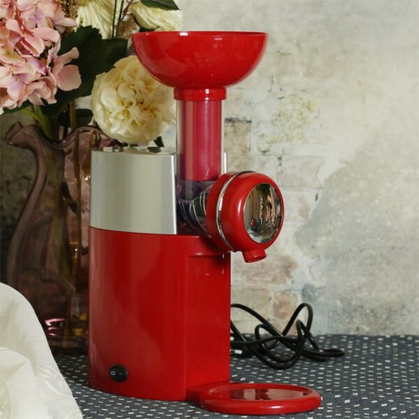 Big Boss Swirlio Automatic Frozen Fruit Dessert Machine Fruit Ice Cream Machine Maker Milkshake Machine 1.jpg 640x640 1