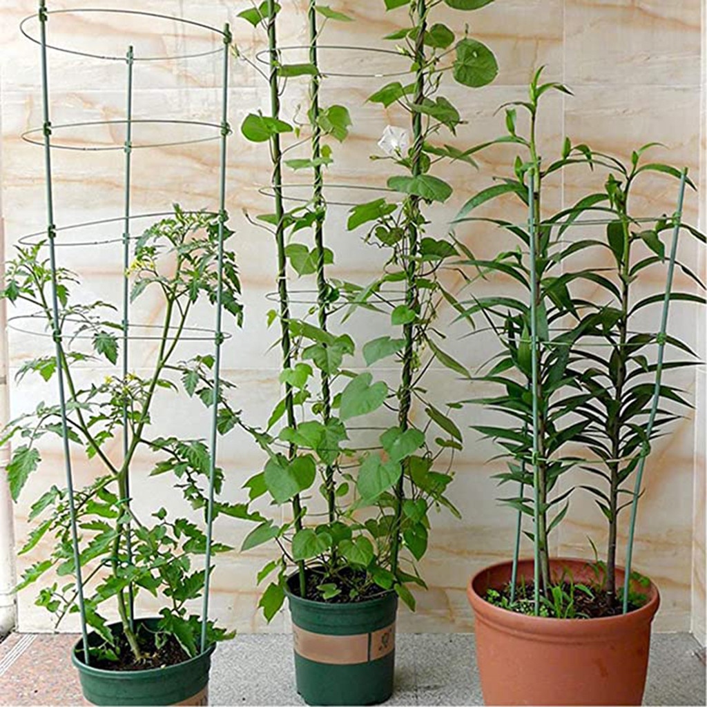 12x Climbing Plant Support Cage Garden Trellis Tomato Flowers Stand 11mmx30cm 
