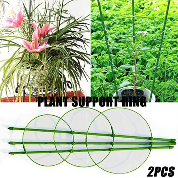 Piştgiriya Nebatên Hilkişînê yên Nû Dûrbar Cage Garden Trellis Flowers Tomato Stand with 3 Rings Gardening Tool 2