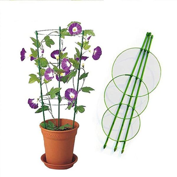 Piştgiriya Nebatên Hilkişînê yên Nû Dûrbar Cage Garden Trellis Flowers Tomato Stand with 3 Rings Gardening Tool 4