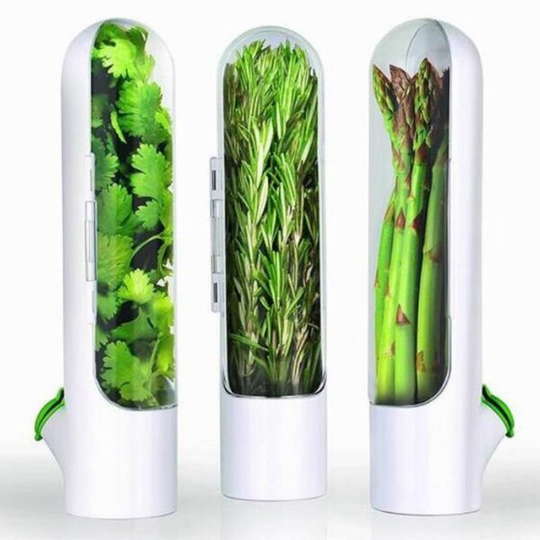 2021 Premium Herb Keeper and Herb Storage Container Keeps Greens and Vegetables Fresh for 2x Longer