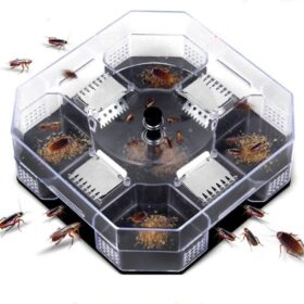 Reusable Cockroach Trap - image 1