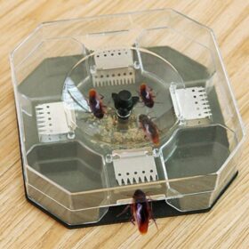 Reusable Cockroach Trap - image 6