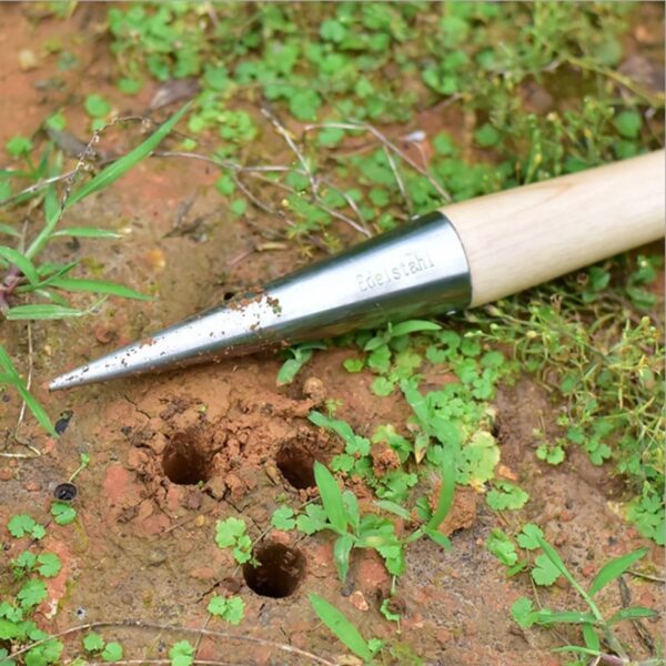 Ngebon Hole Puncher sareng Cecekelan Kayu Kaseueuran Ngagali Lubang Alat Taman pikeun Sow Siki Transplantasi Tutuwuhan 1