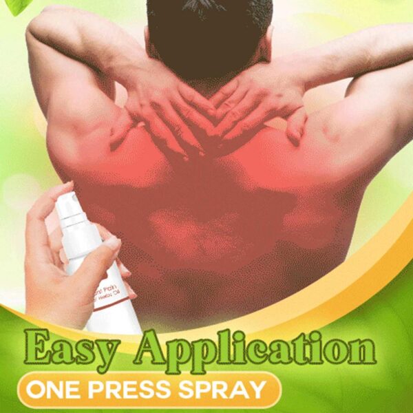 Instant Pain Relief Herbal Oil Soothing Pain Body Care Spray Knee Waist Pain Back Shoulder Herbs 2