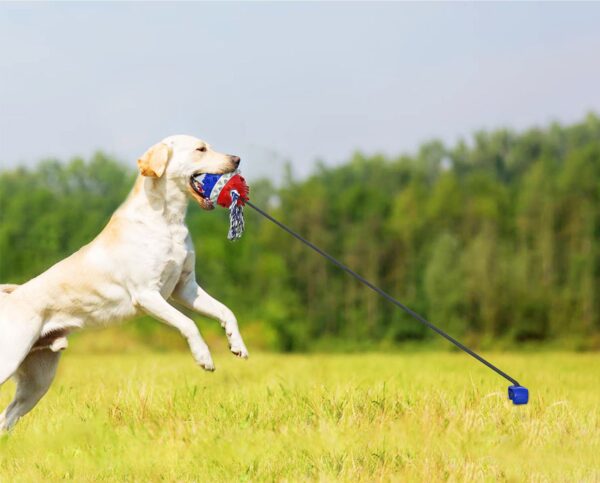 Outdoor Dog Tug Toy Chew Toy Interactive Tug of War Game for Aggressive Chewers Dog Training 3