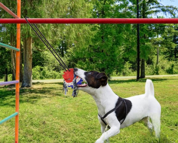 Outdoor Dog Tug Toy Chew Toy Interactive Tug of War Game for Aggressive Chewers Dog Training 5