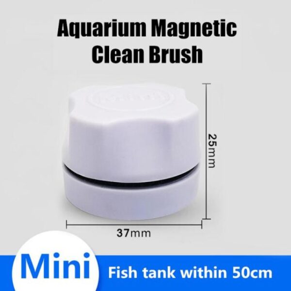 Izixhobo Zokucoca I-Magnetic Aquarium ye-Magnetic Itanki yentlanzi Ibrashi yeglasi ecocekileyo yefestile ye-Algae Scraper 1.jpg 640x640 1