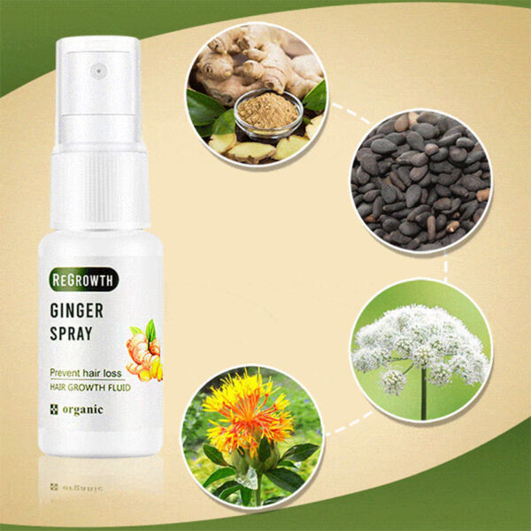 Regrowth Ginger Spray Fast Hair Growth Fluid Anti Loss Treatment Ginger Essence Prevent Hair Loss Regrowth 4