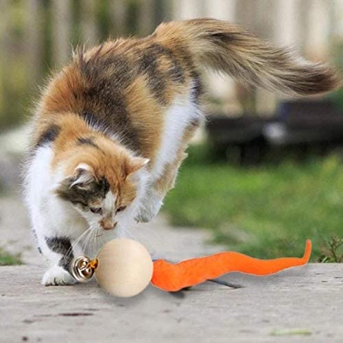5 3 1 kom Wiggly Balls Mačka zvona igračke Nova igračka za mačku za žvakanje Drvena lopta Wiggly Tail 3