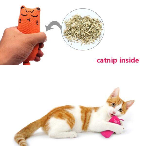 Rustle Sound Catnip Toy cats නිෂ්පාදන සුරතල් සතුන් සඳහා Citten Tighting Cat සඳහා Cute Cat Toys 1