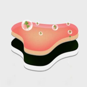 DowagerHump NeckDrain Patch - image 7