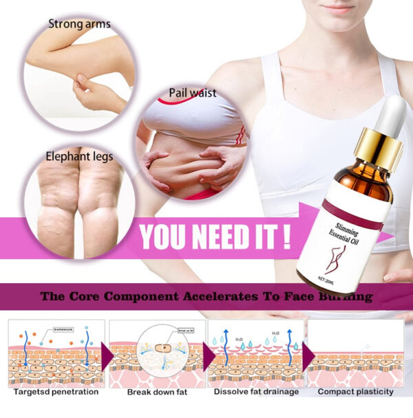 Aceites esenciales adelgazantes Pierna delgada Cintura Quema de grasa Productos para perder peso Fitness Crema modeladora del cuerpo Adelgazante 3 1