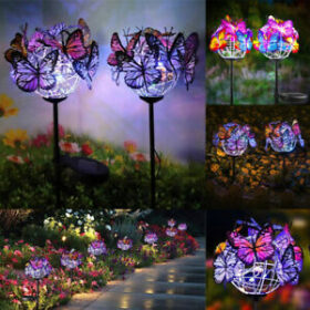 Solar Butterfly Stake Lights - image 1
