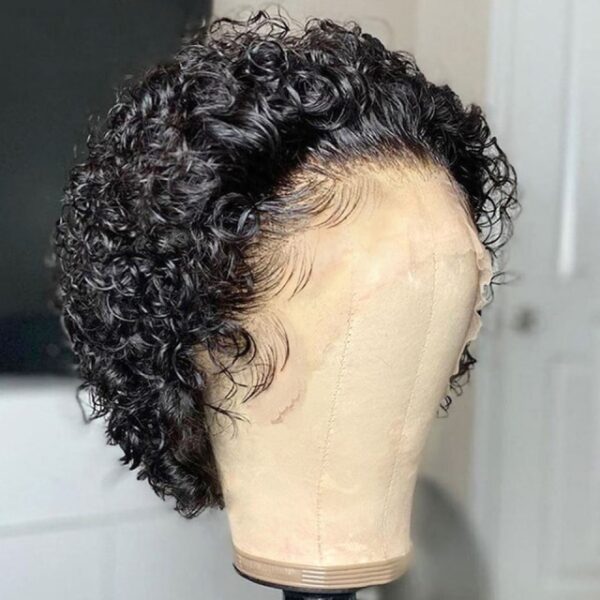 Rosabeauty Deep Wave Lace Front Human Hair Wigs Short Curly Human Hair Bob Wig Pixie