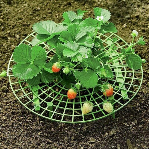 1 Pcs Round Plastic Strawberry Stand Balcony Grow Vegetables Fruit Climbing Pillar Gardening Bracket Plant Cages 1